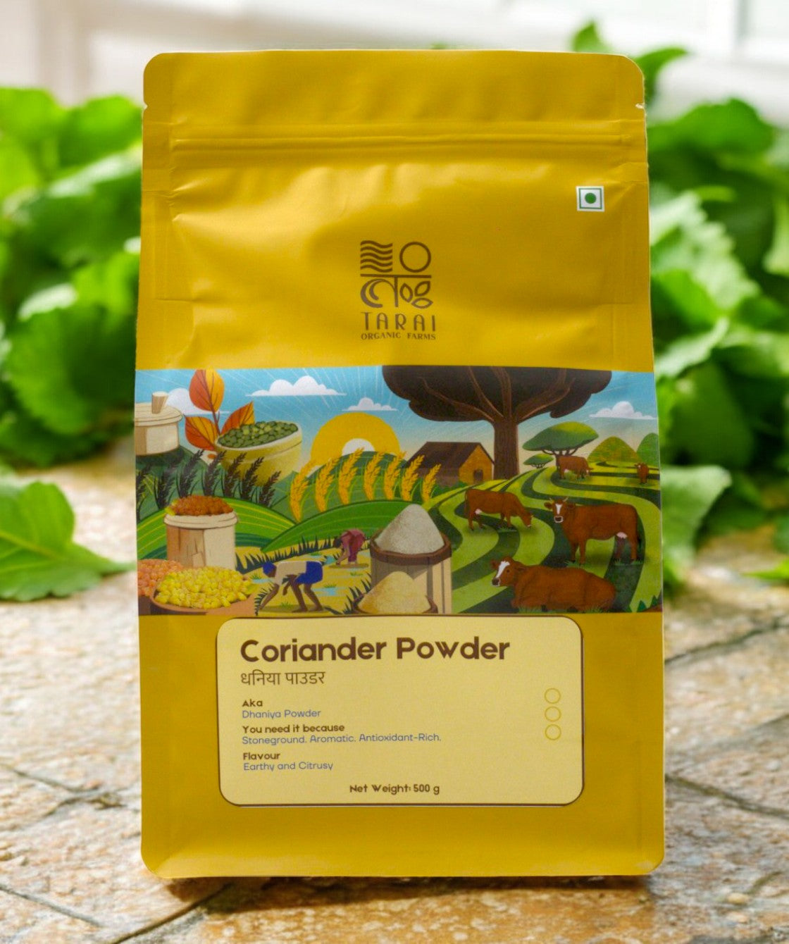 Coriander Powder
