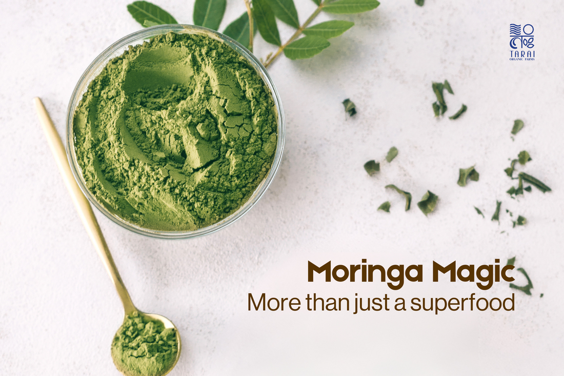 Moringa Leaves Powder: The Miracle Tree's Gift